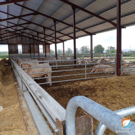 07 Votre bâtiment agricole financé par lénergie solaire