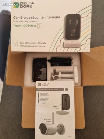 1 caméra Delta Dore réf 1100