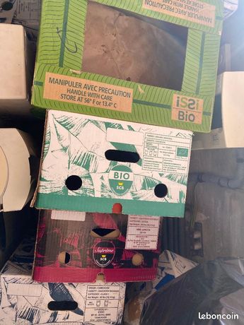 15 cartons de banane