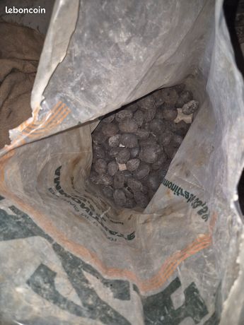 20kg de Boulet de charbon