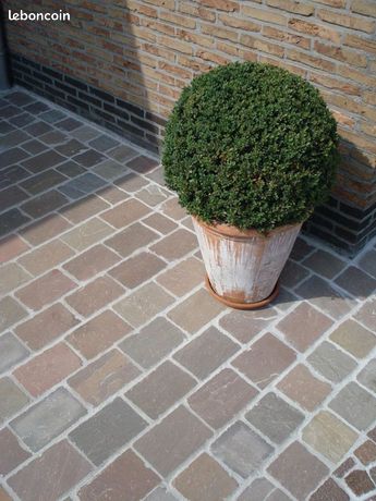 31700 New Pierre Naturelle Kandla SOLDE