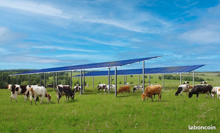 42 Optimisez votre exploitation avec lAgrivoltaisme