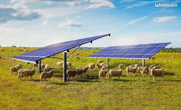 77- Optimisez votre exploitation avec l’Agrivoltaisme