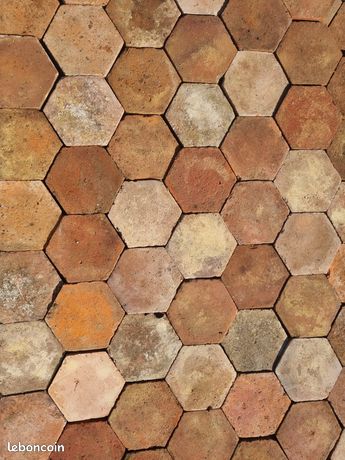 800 tomettes hexagonale anciennes 20m2