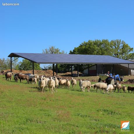 88 Investissez dans des hangars solaires pour votre exploitation