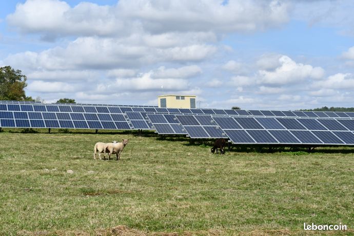 Agrivoltaïsme en Occitanie Valorisez vos terres revenus garantis