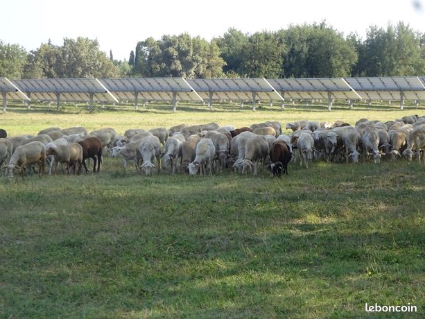 Agrivoltaïsme en PACA Valorisez vos terres revenus garantis