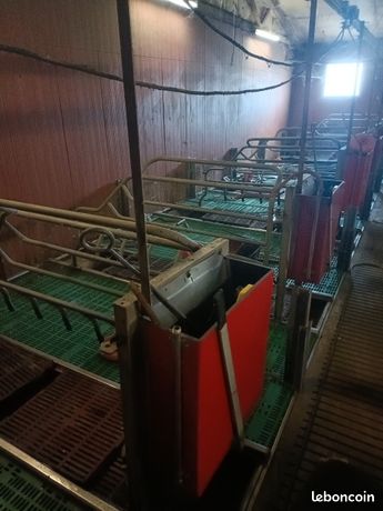 Alimentateur I Tek