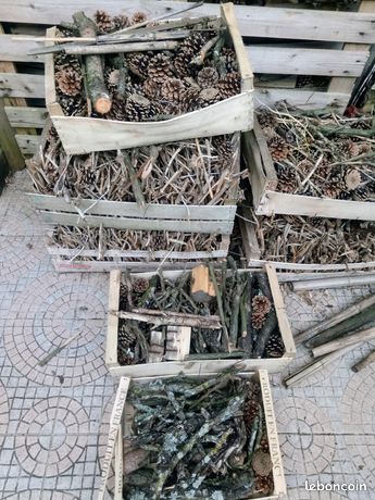 Allume feu petit bois en plateau