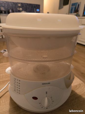 Appareil vapeur électrique