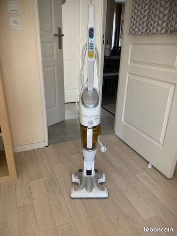Aspirateur à la vapeur rowenta