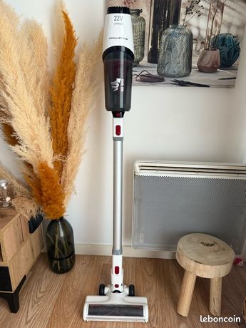 Aspirateur balai Rowenta X-Pert 3.60