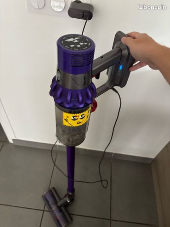 Aspirateur Dyson V12 animal