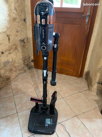 Aspirateur sans fil Rowenta X-Force Flex 15.60