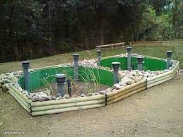 Assainissement Phytoépuration