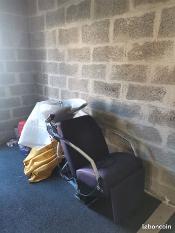 Bac à shampoing électrique