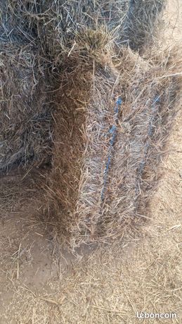 Ballot de foins