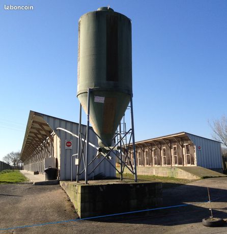 Bâtiment 1000 couples pigeonneaux de chair