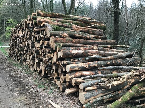 Billons bois de chauffage