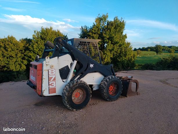 Bobcat