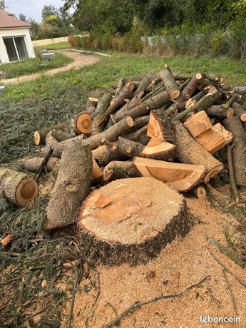 Bois à débarrasser, sur place, gratuitement