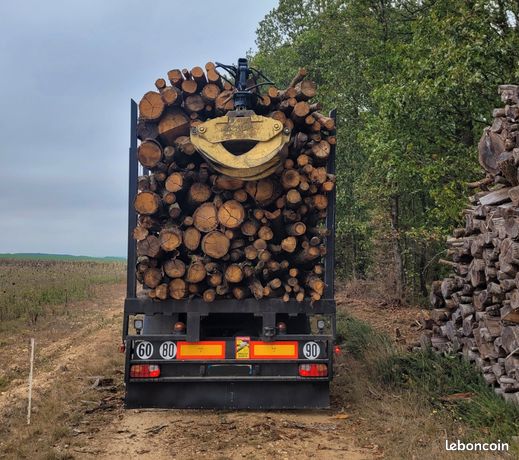 Bois de chauffage 2M grumier sec/vert