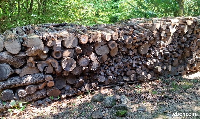 Bois de chauffage à emporter gratuitement