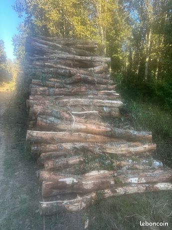 Bois de chauffage chêne 2,50 m