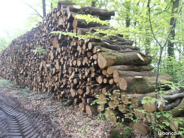 Bois de chauffage chêne/ charme sec en billons de 2.0m livré par camion