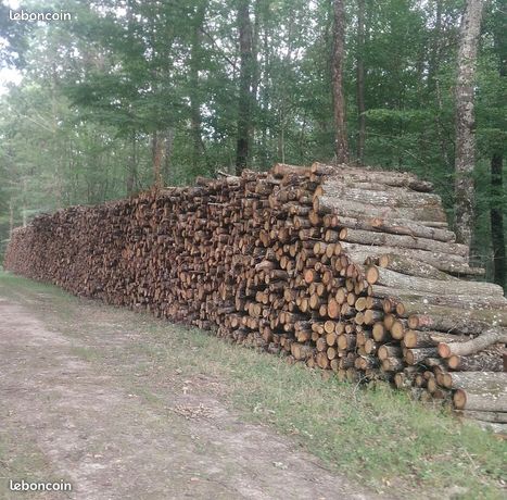 Bois de chauffage chêne sec en billons de 2.0m livré par camion