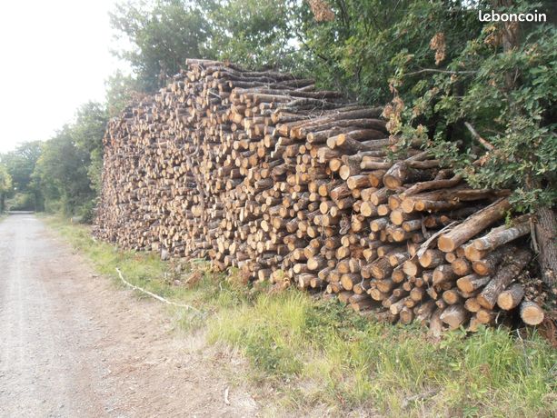Bois de chauffage chêne sec en billons de 2.0m livré par camion