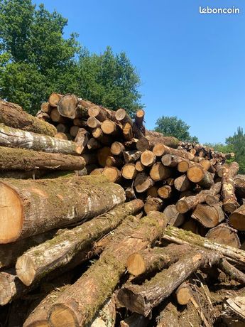 Bois de chauffage