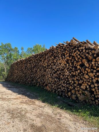 Bois de chauffage