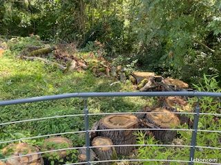 Bois de chêne et de Pin