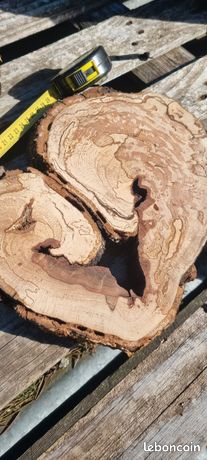 Bois de hêtre échauffé