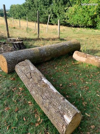 Bois de sciage ou de chauffage