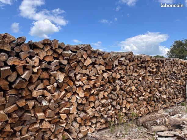 Bois de chauffage 50cm