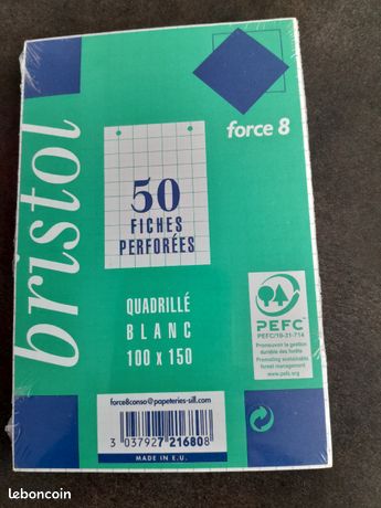 Bristol 50 fiches perforées 100x150