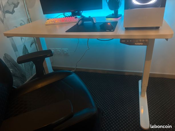 Bureau flexispot Assis/Debout 120x60