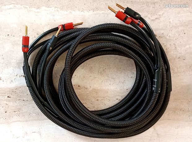 Cable enceinte Audioquest Type 5 en 2x3m