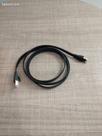 Câble ethernet 1m