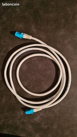 Câble ETHERNET RJ45
