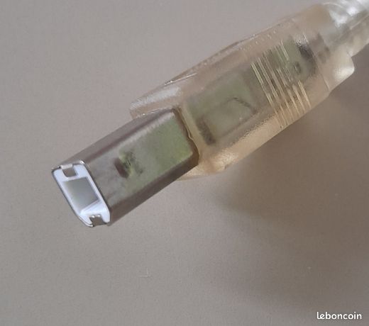 Câble raccordement informatique