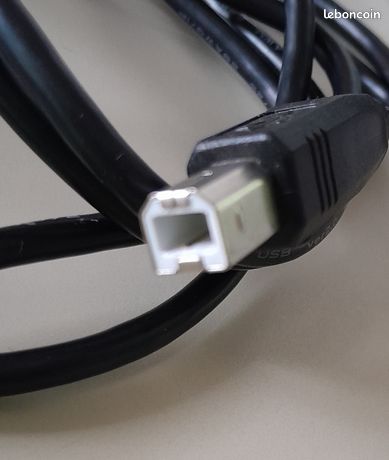 Câble raccordement informatique