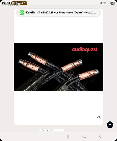 Cable modualtion xlr thunderbird audioquest