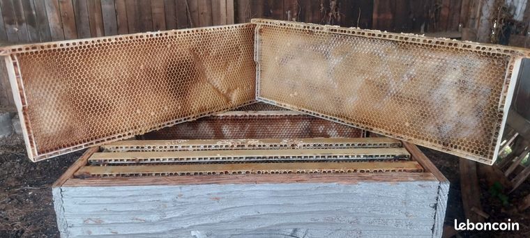 Cadre ruche dadant