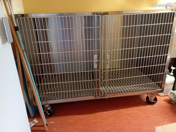 Cage d'hospitalisation vétérinaire