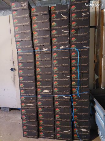 Cagettes carton