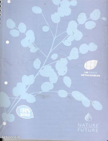 Cahier grands carreaux feuilles detachables