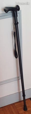 Canne de marche